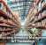 Cloud Accounting Software And Business Scalability