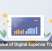 The Value of Digital Expense Tracking